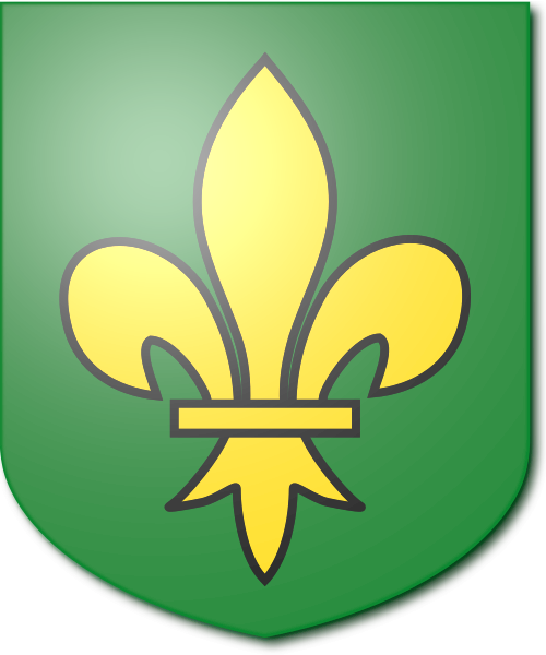 Shield image