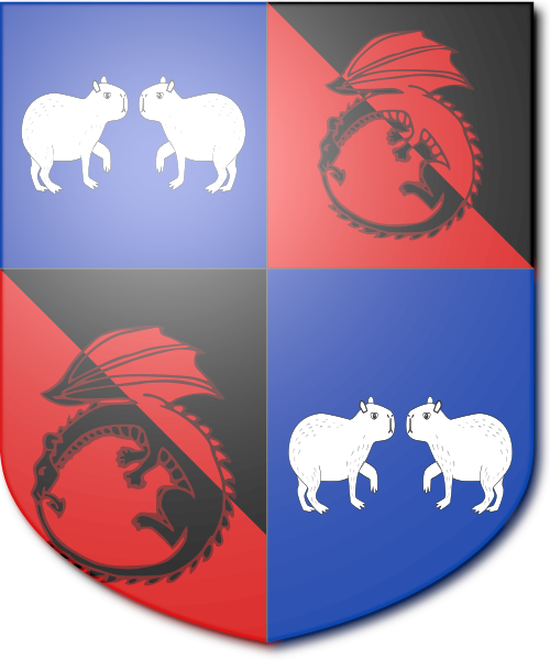 Shield image
