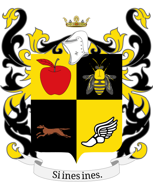 Shield image