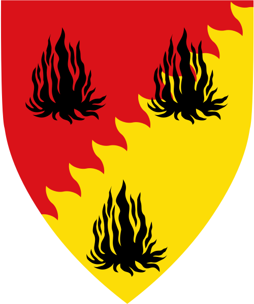 Shield image