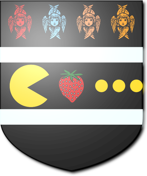 Shield image