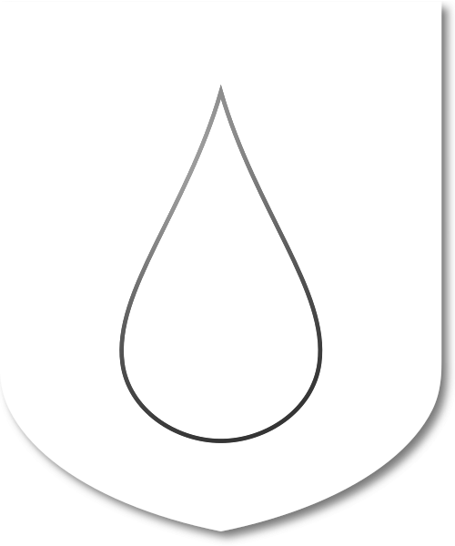 Shield image