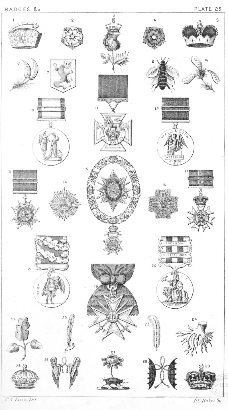 Plate 25.