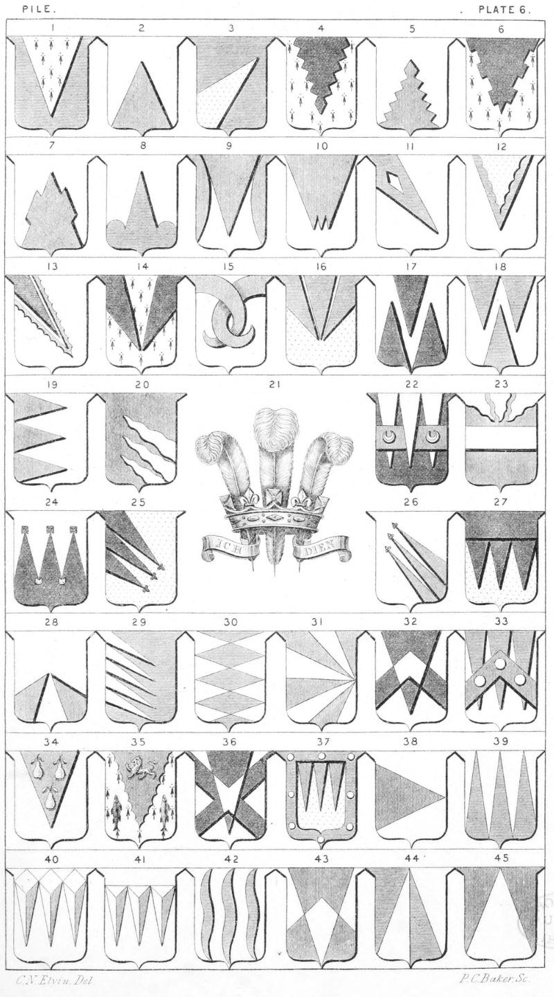 Plate 6.